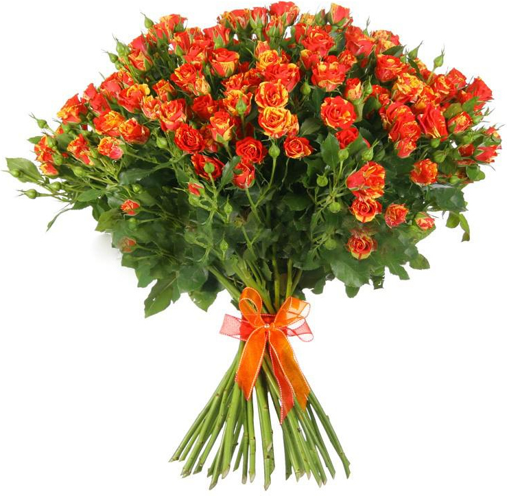 Кустовые желто-красные розы Кустовые желто-красные розы